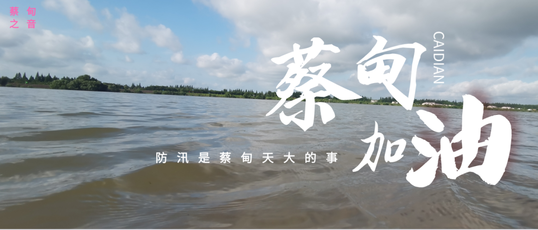 蔡甸區(qū)啟動防汛ⅰ級應急響應，做好鋪土釘防汛木樁工作