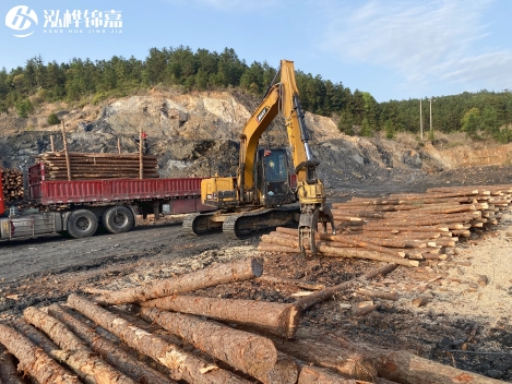 松木樁批發(fā)價格是多少？