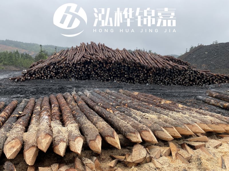 6米長松木樁有哪些作用，多少錢一根？