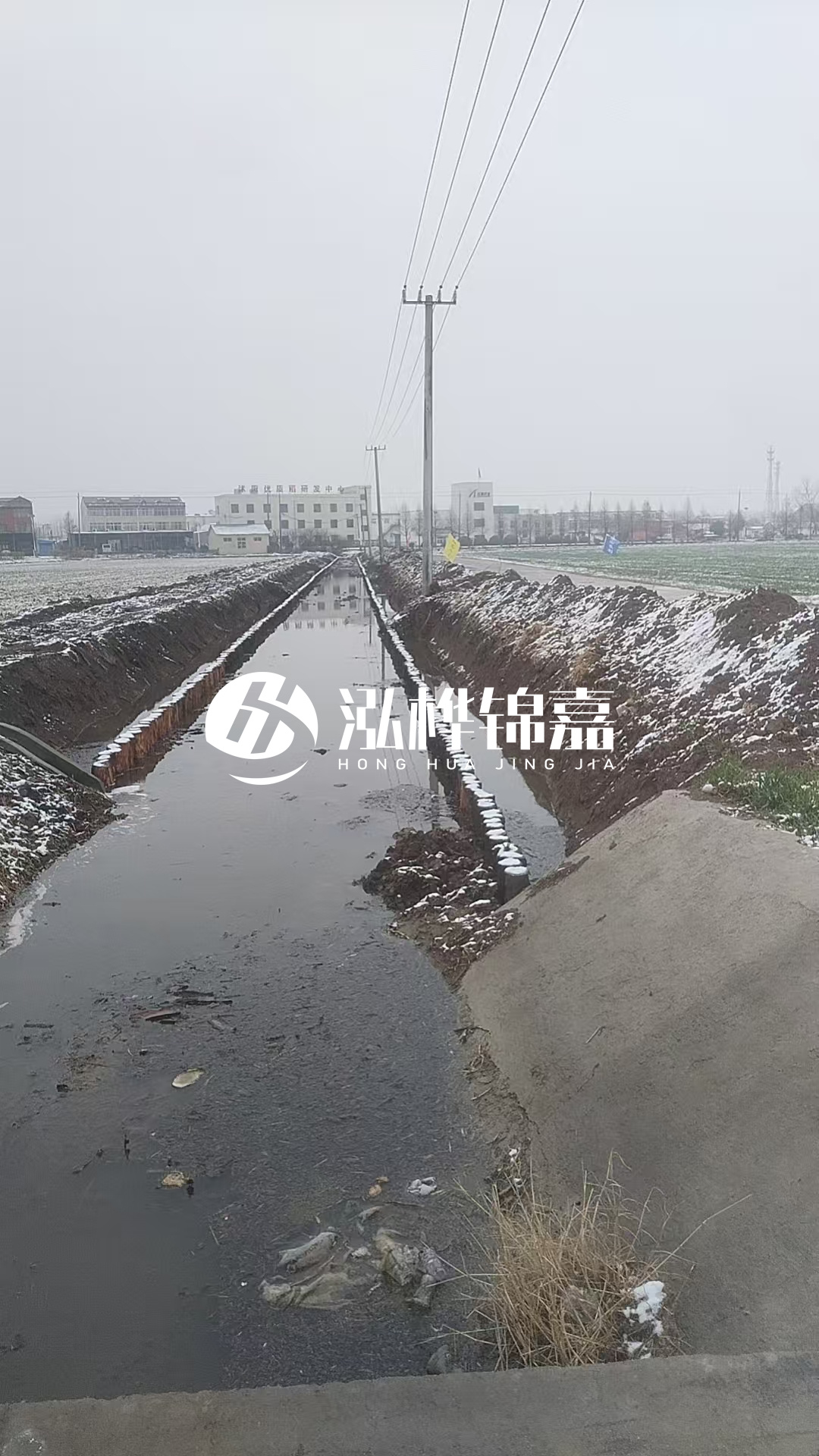 4米松木樁和杉木樁價格相差多少？哪個更便宜？