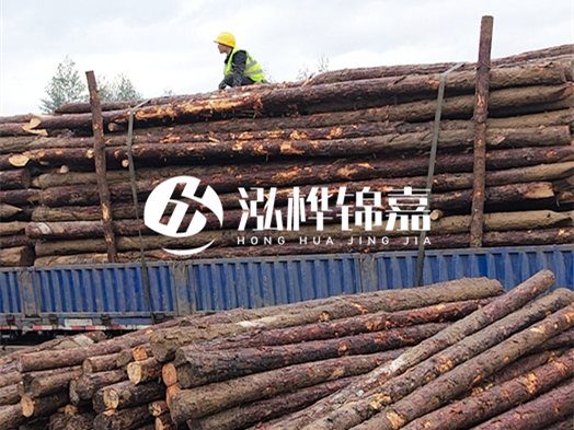 2 米大頭 12 公分松木樁價格 - 2 米大頭 14 公分松木樁多少錢一根？