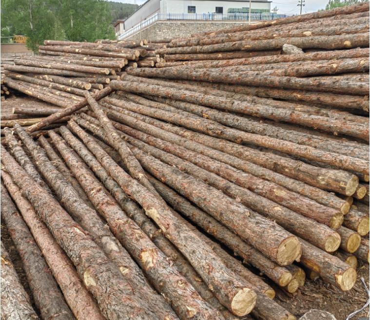 松木樁圍堰缺點是什么