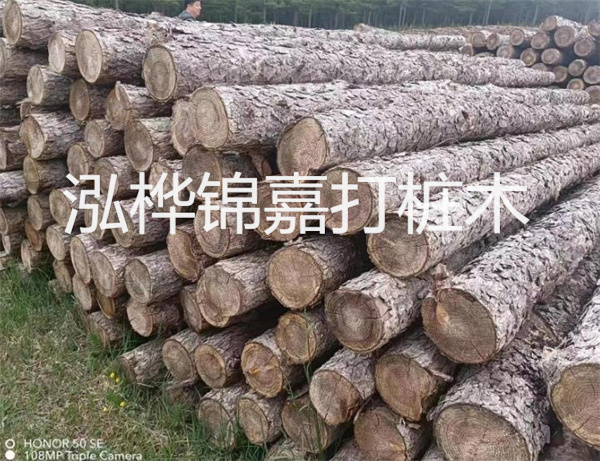 高效修補，保駕護航！水泥路面高強度修補料為您解決煩惱！