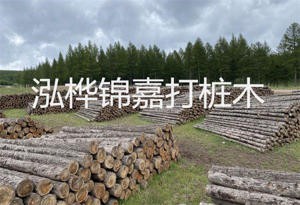 預(yù)制松木樁施工工藝：優(yōu)質(zhì)材料，高效快速，堅固耐用