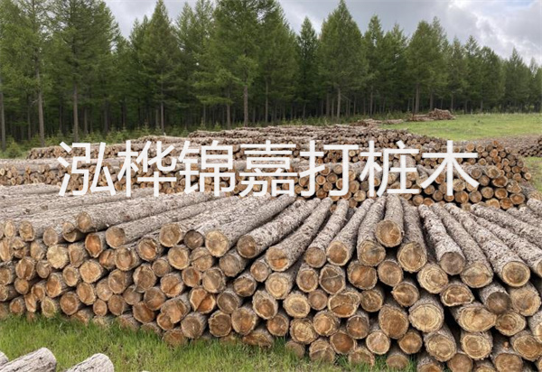 松木樁能施工嗎？探究視頻揭秘真相！