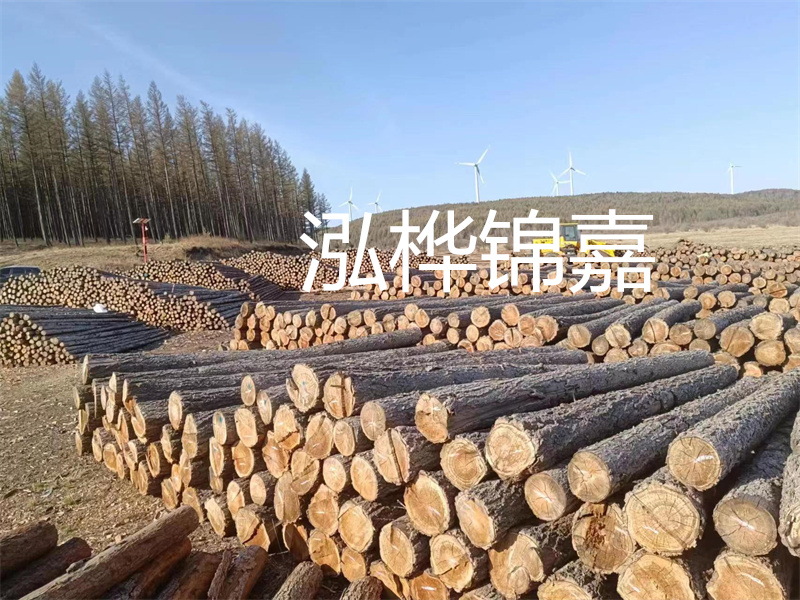 用路基松木樁施工方案提升工程質(zhì)量描述：了解路基松木樁施工方案的重要性，提高工程質(zhì)量關(guān)鍵詞：路基松木樁，施工方案，工程質(zhì)量